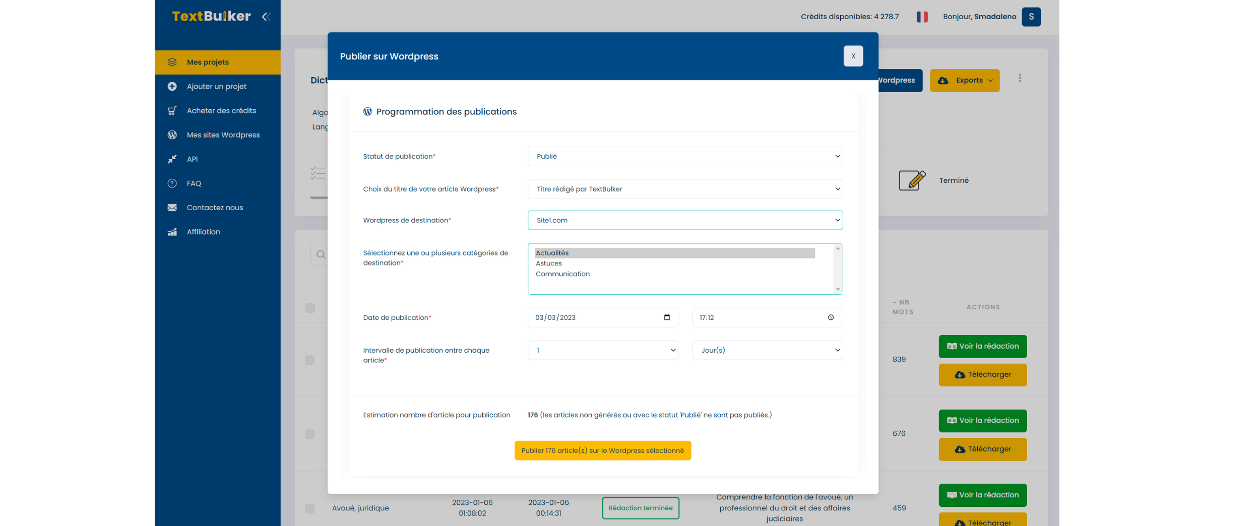 Options de publication WordPress