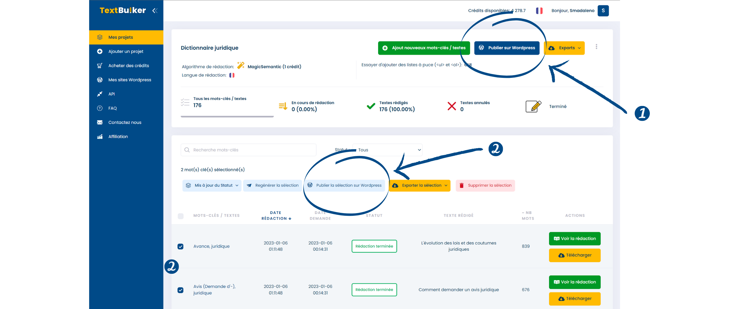 Boutons de publication WordPress dans TextBulker